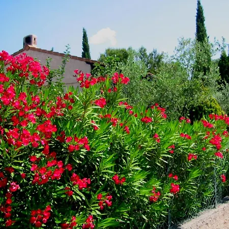 In With Pool Near Villa *